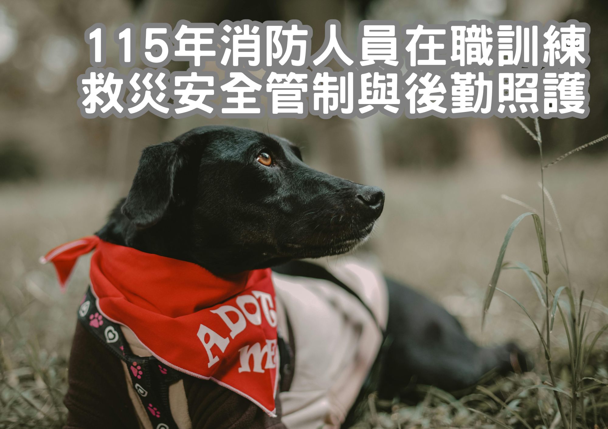 115年消防人員在職訓練-救災安全管制與後勤照護-臺北市政府消防局提供